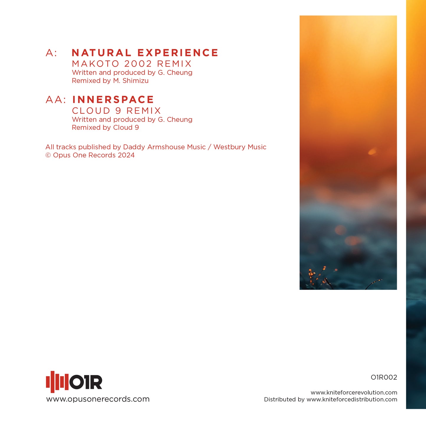 Nookie - Natural Experience (Makoto 2002 Remix) / Innerspace (Cloud 9 Remix) - O1R002