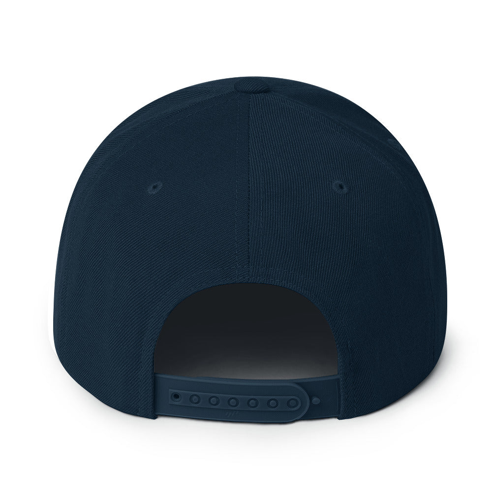 Dom & Roland Productions Snapback Hat
