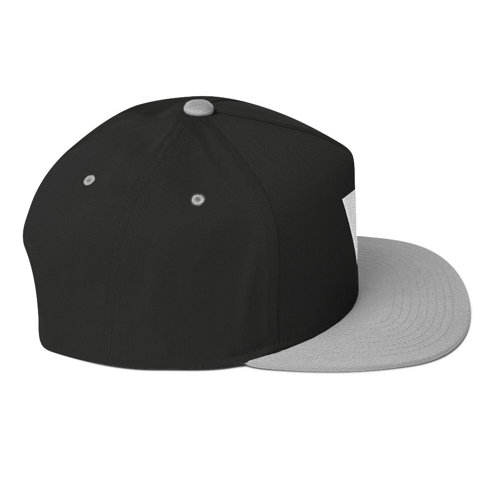 Vibez Recordings Flat Bill Cap