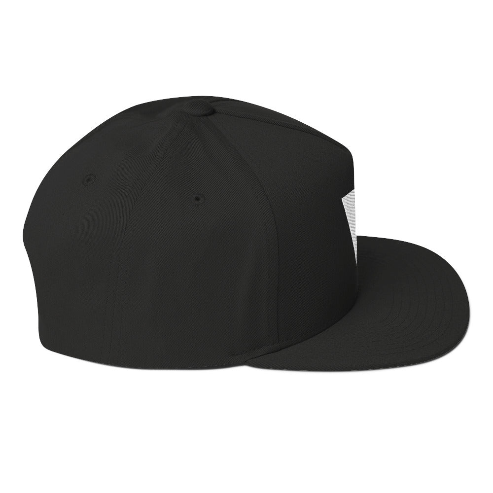 Vibez Recordings Flat Bill Cap