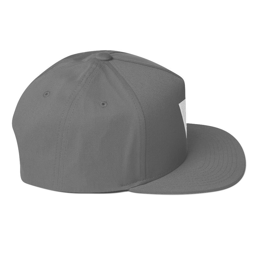 Vibez Recordings Flat Bill Cap