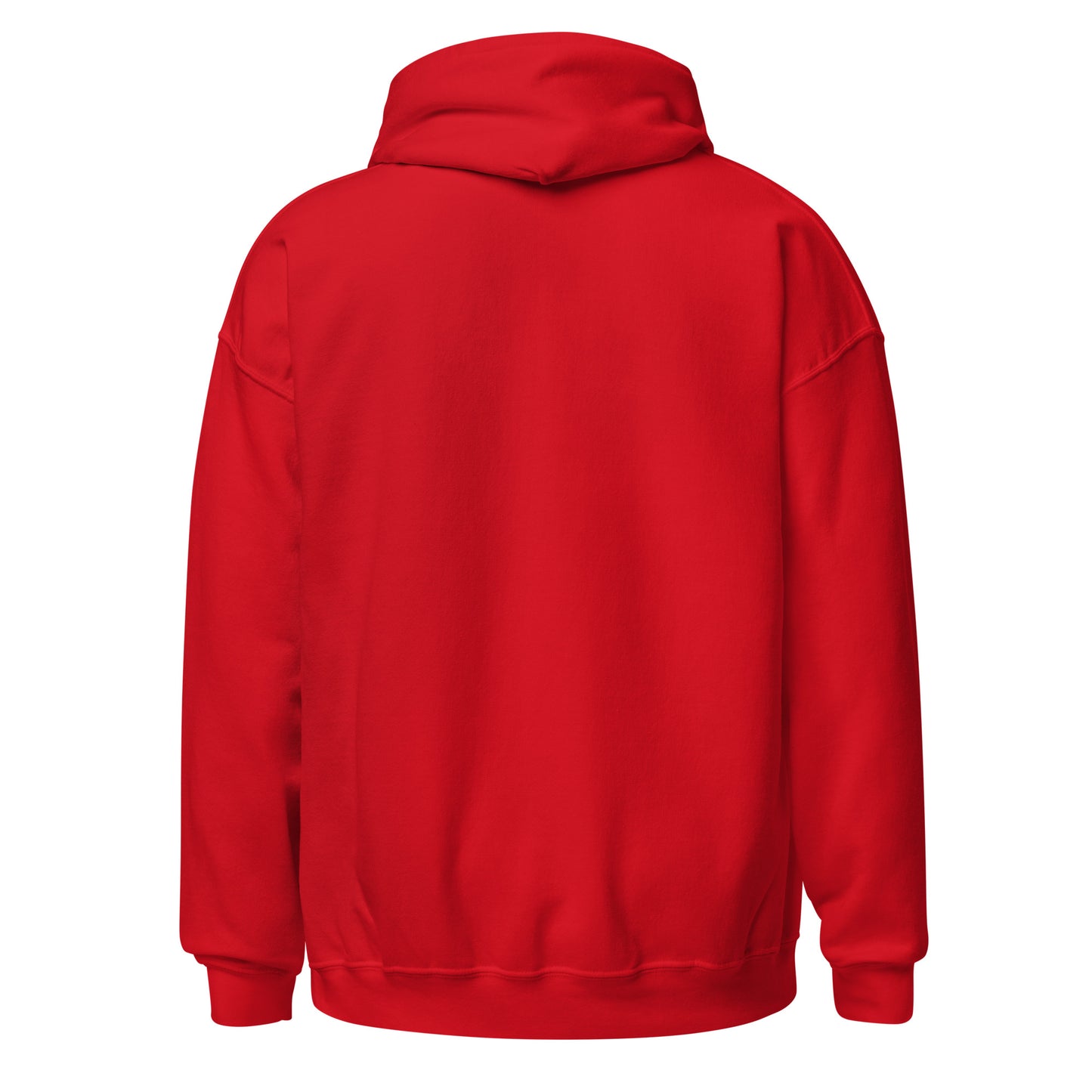 Vibez Recordings (Front Logo) Unisex Hoodie