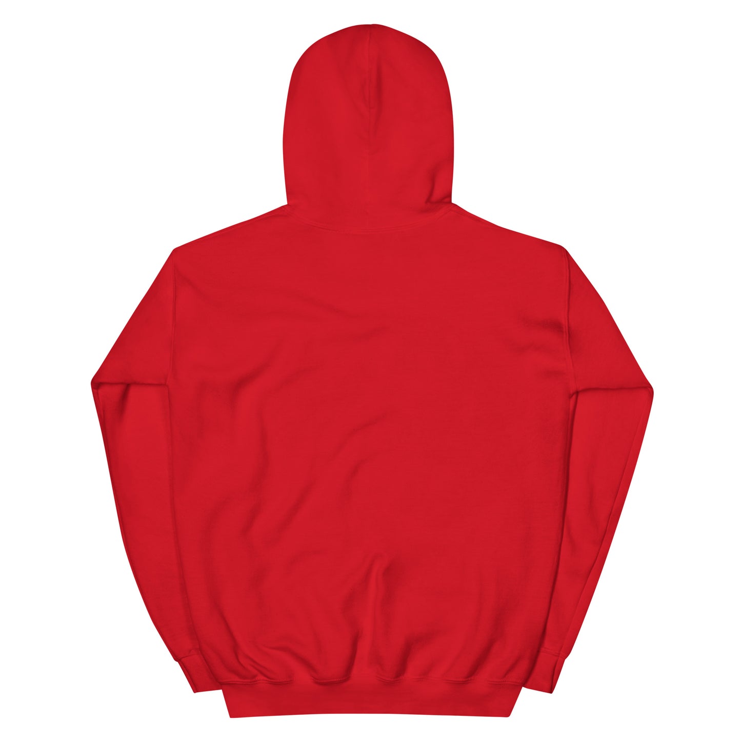 Time Tunnel (v1) Unisex Hoodie