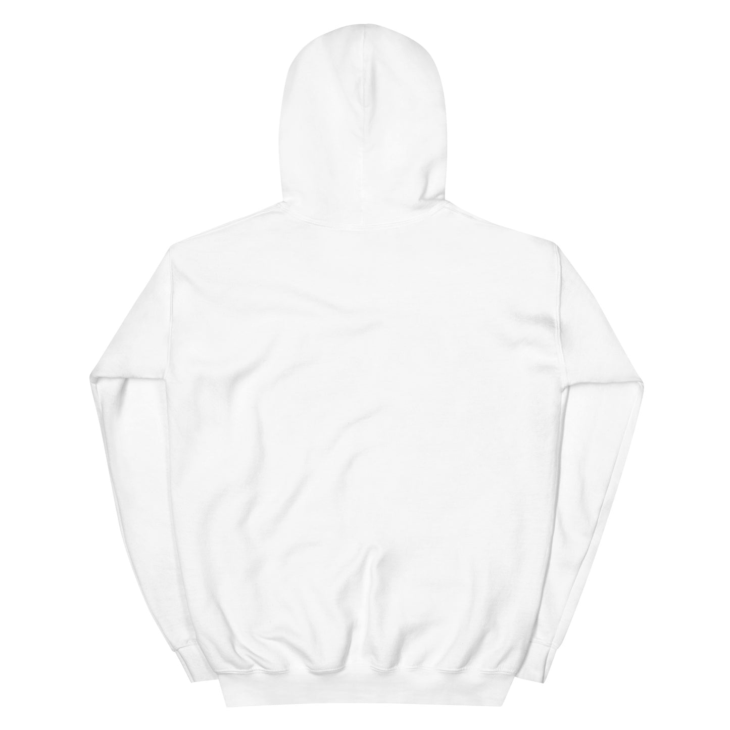 Time Tunnel (v1) Unisex Hoodie